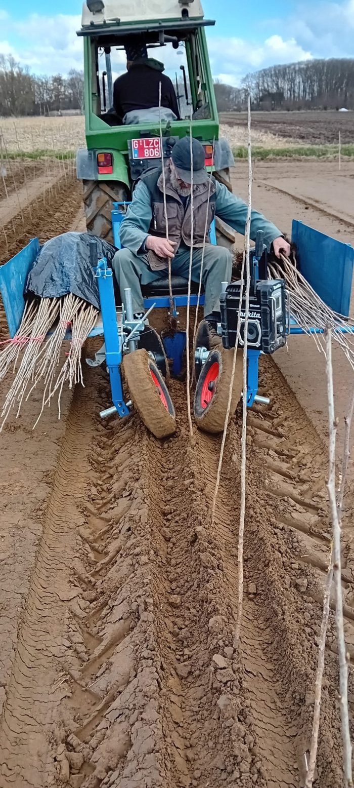 Zaailingen op de plantmachine