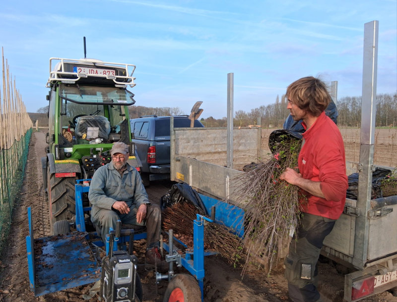 Machinaal planten