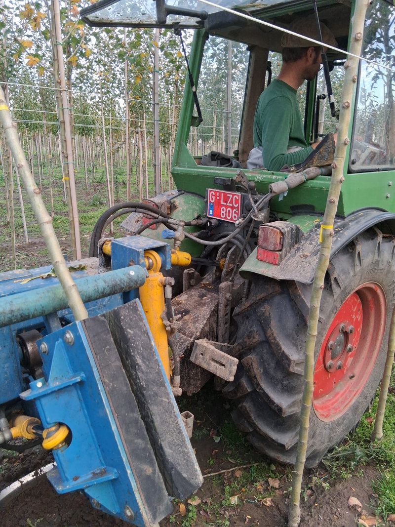 Machinaal planten van jonge bomen